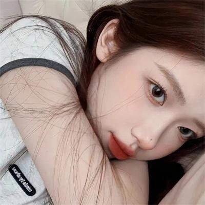菜鸟总动员